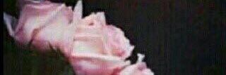 Weem_H67's profile banner image