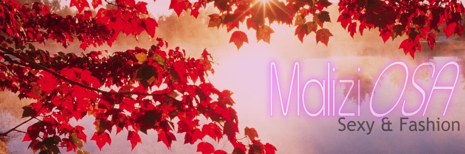 Malizi_OSA's profile banner image