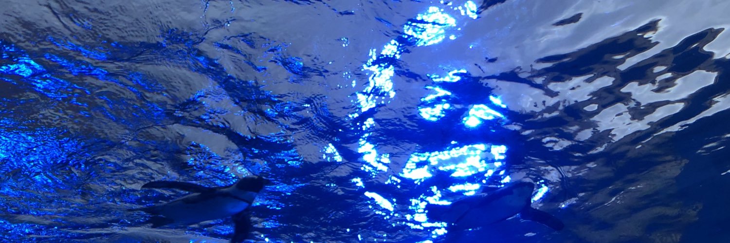 舞人/まいと/maito banner