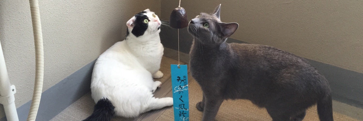 わた゛みなこ banner