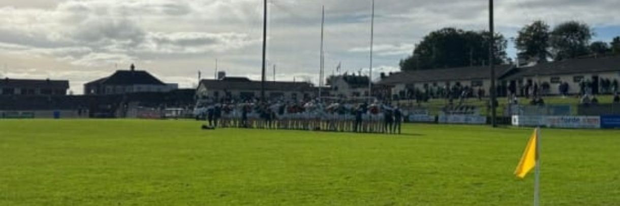 Sarsfields GAA banner
