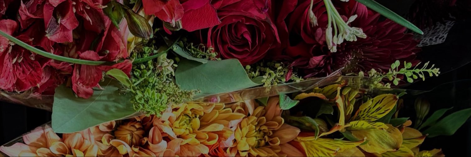 XimenaOrtGo's profile banner image