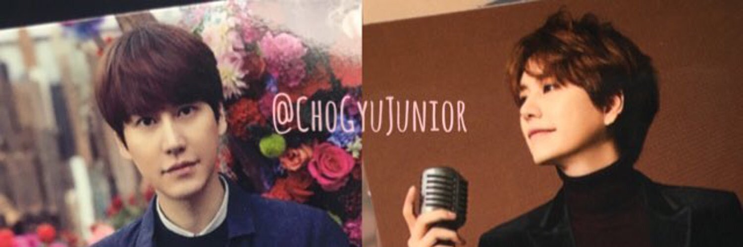 ChoGyuJunior's profile banner image