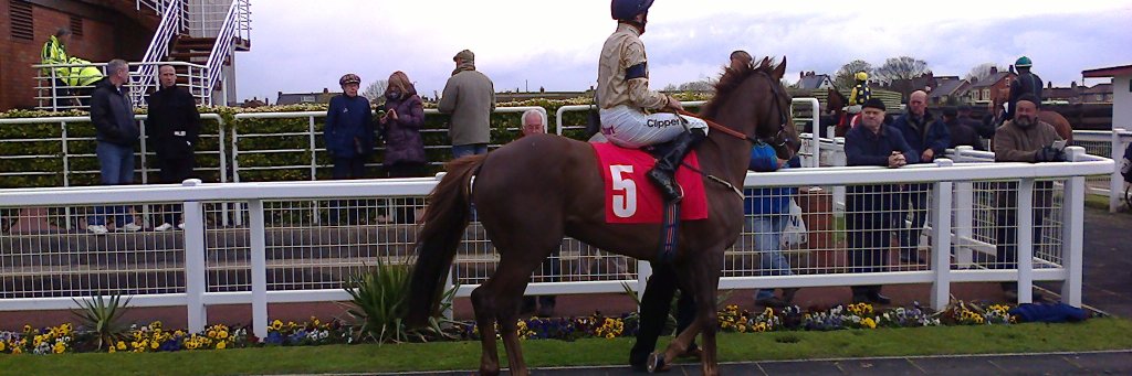 Peter Deacon banner