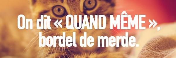 QdMeme's profile banner image