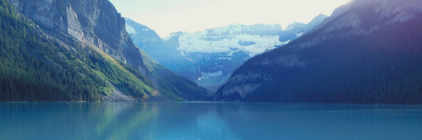mandaaarose's profile banner image