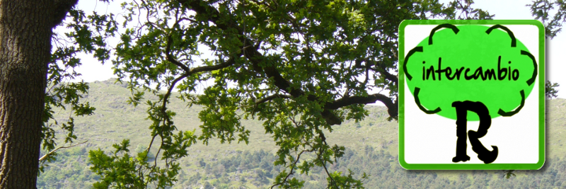 RedElRoble's profile banner image