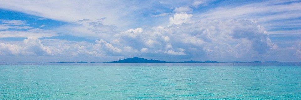 nikabogdanic's profile banner image