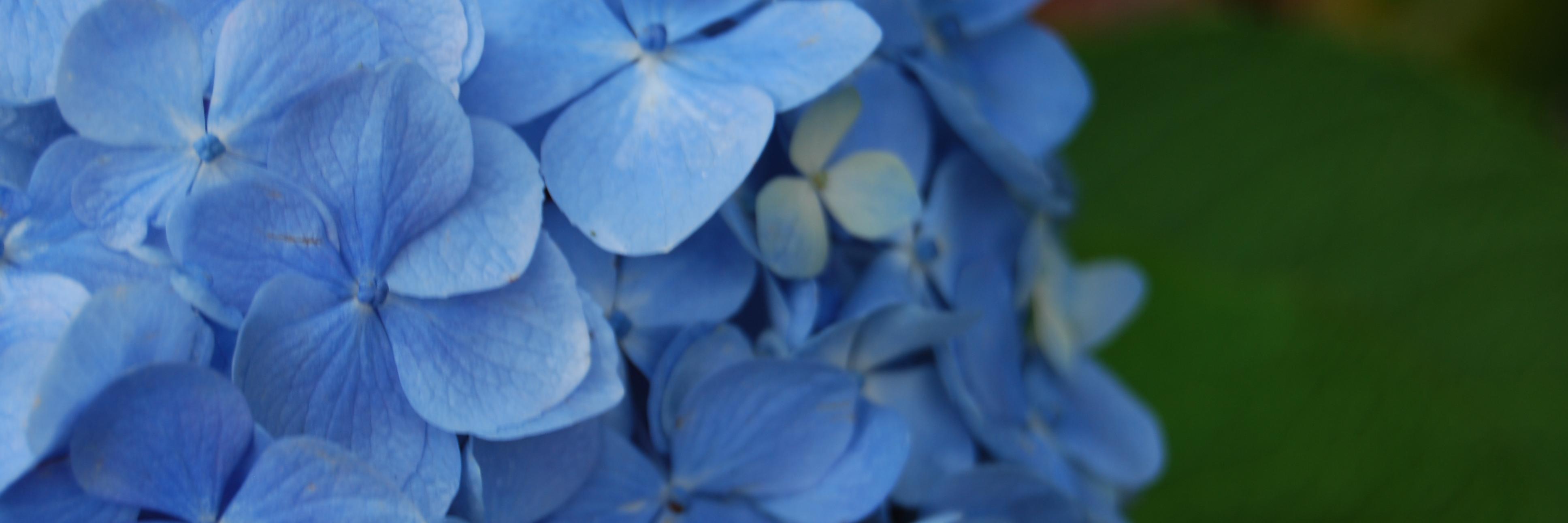 DementiaTeam's profile banner image