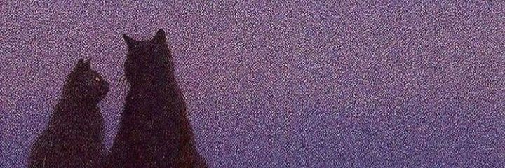 Federicostd's profile banner image