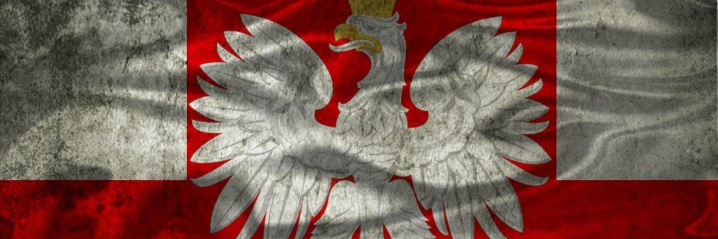 MsNowaczyk's profile banner image
