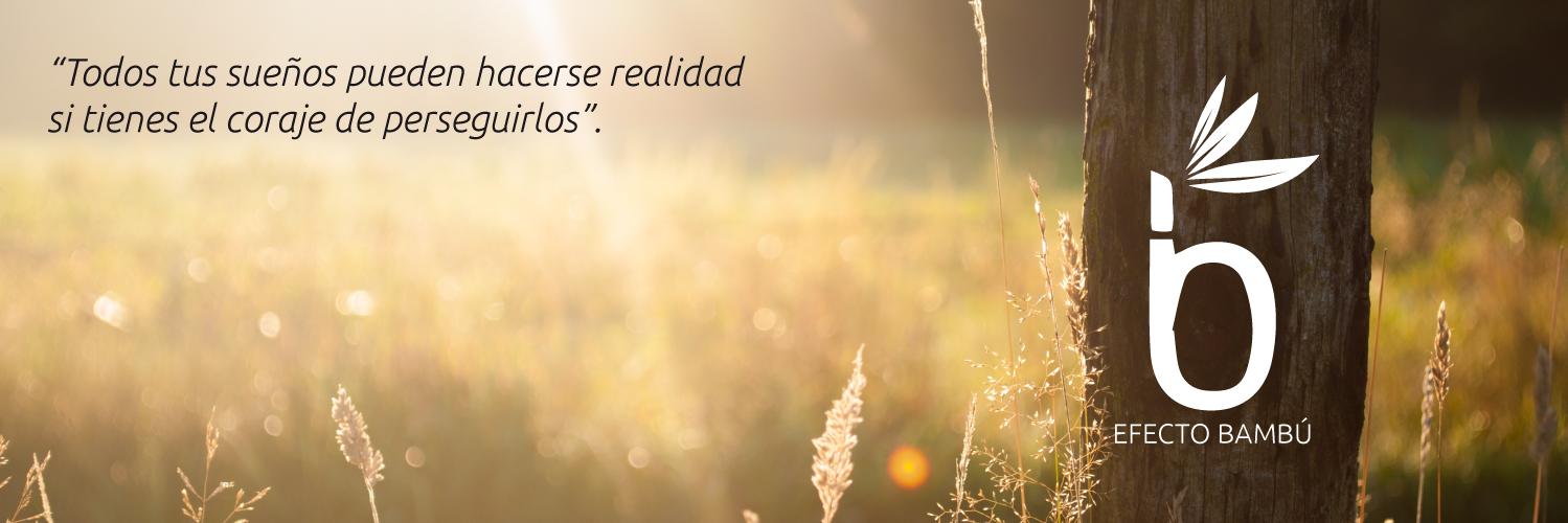 efectobambu's profile banner image