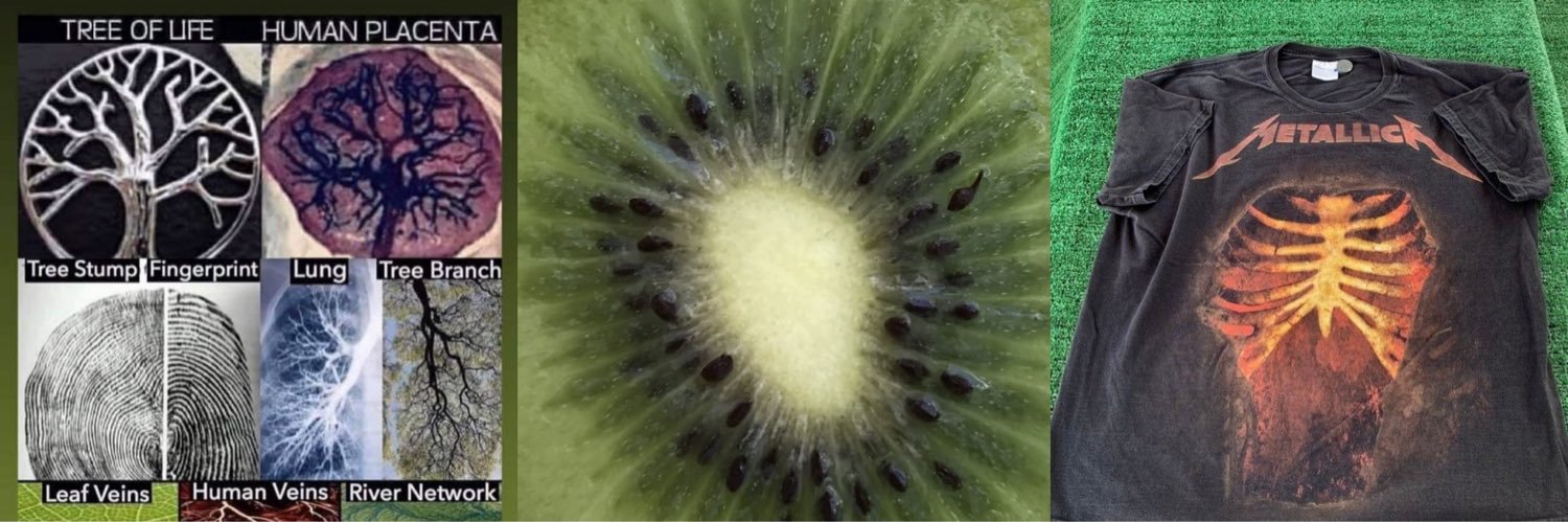 Ivy #ByFrankOcean banner