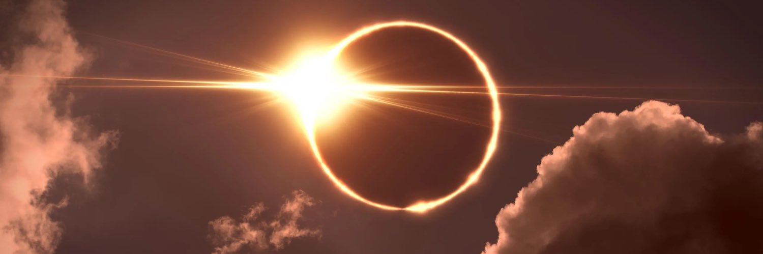 Francesca Forgach banner