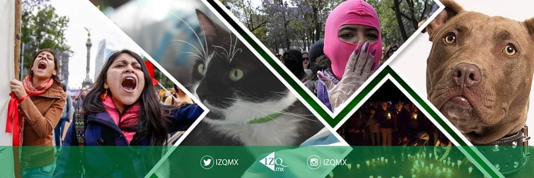IZQmx banner