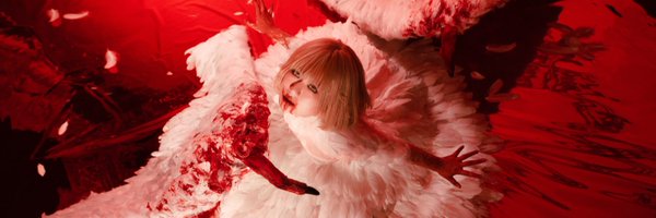 sae_eeee Profile Banner