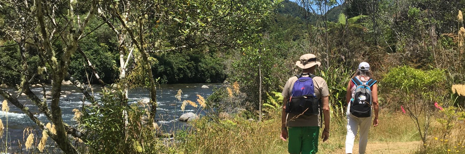 Deborah Wilson banner