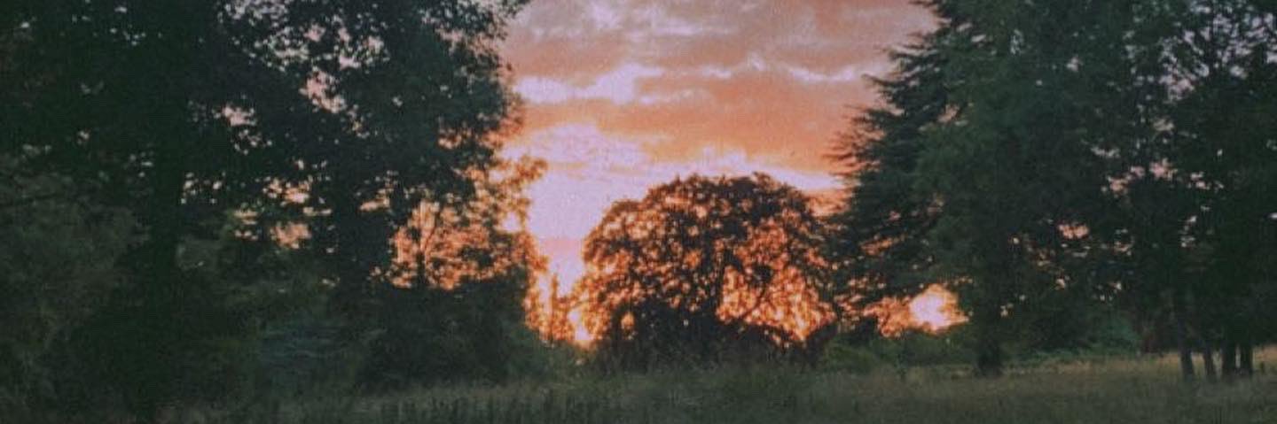 102lysh's profile banner image