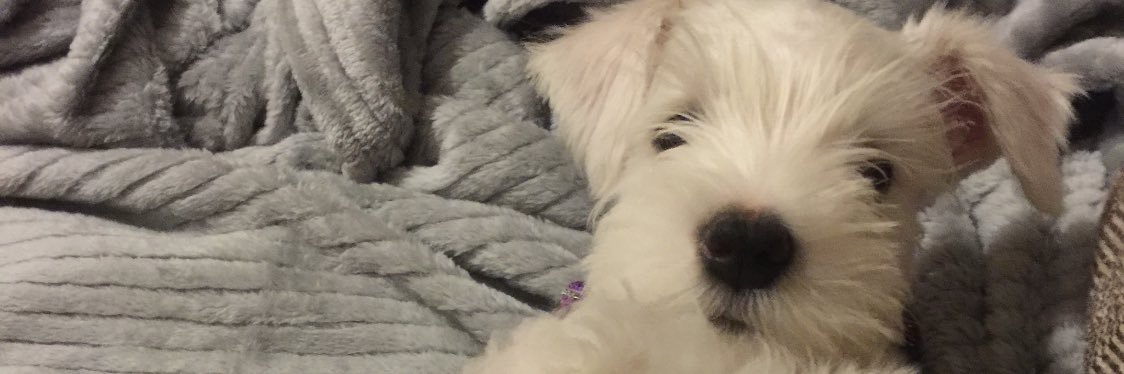 bailey_griffin3's profile banner image