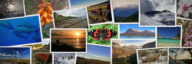 NaturaScape's profile banner image