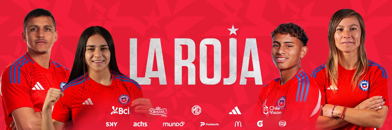 Selección Chilena banner