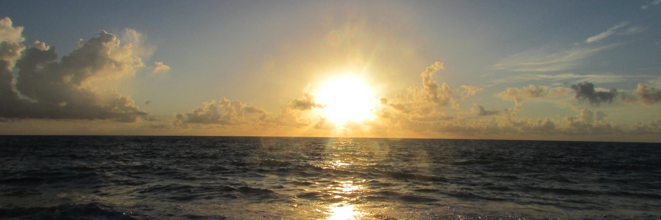 Charlotte Morganson banner