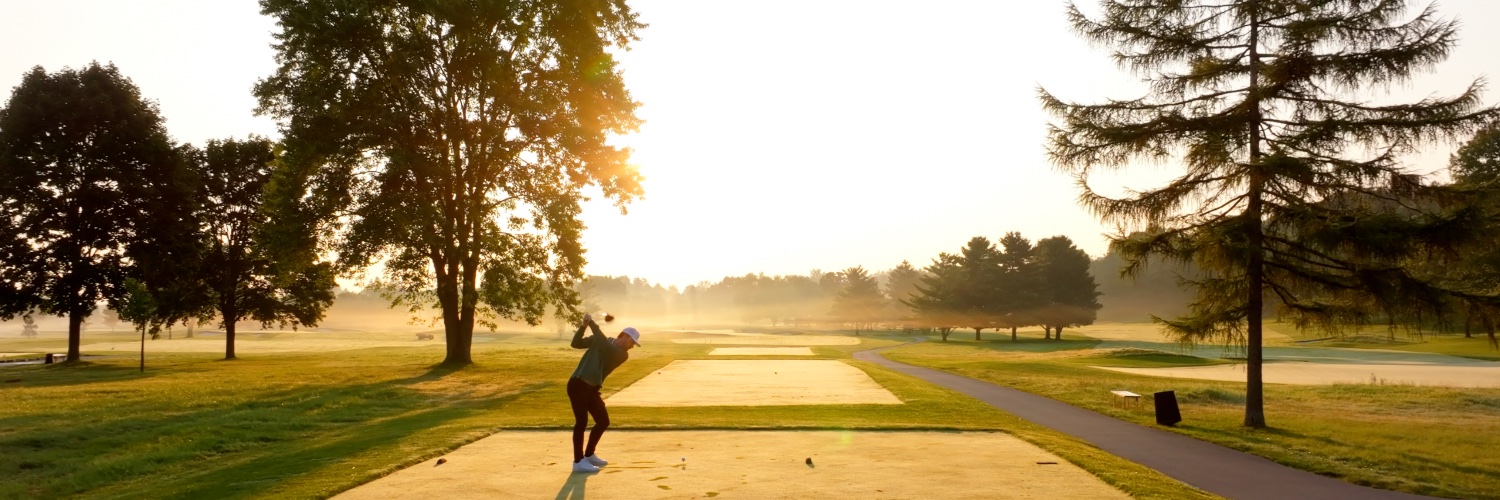 Cutten Fields banner