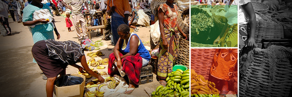 MLA_Zimbabwe Profile Banner