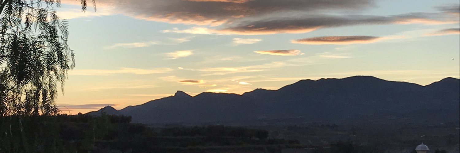 WalleniusMinna's profile banner image