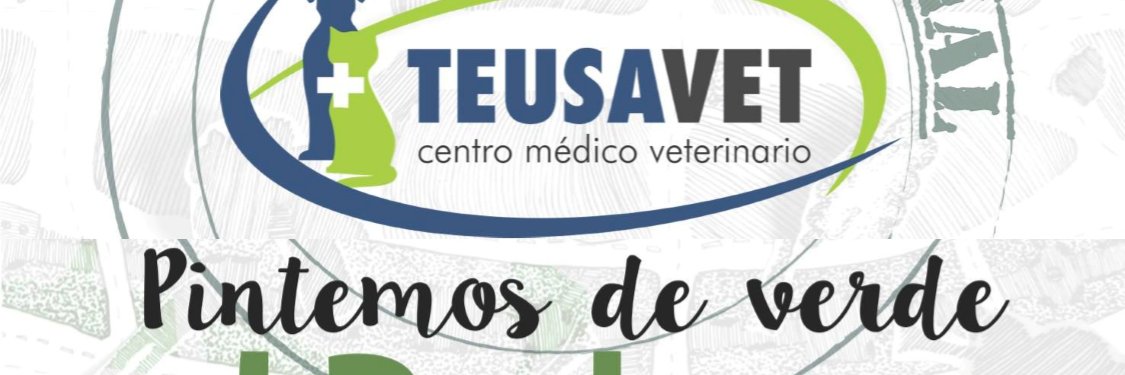 teusavet's profile banner image