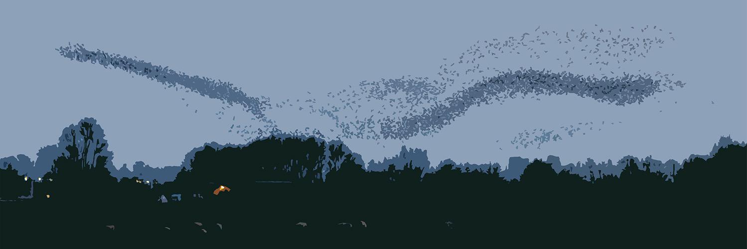 engenderbalance's profile banner image