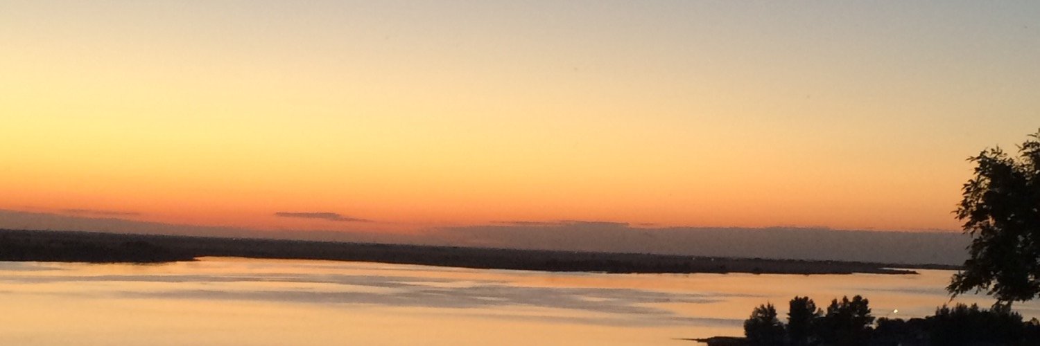 Sarsharnavid's profile banner image