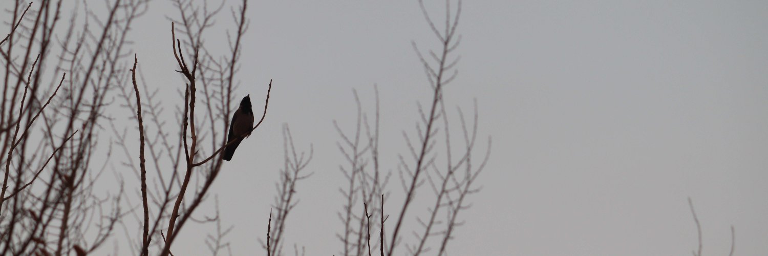eNNKkey's profile banner image