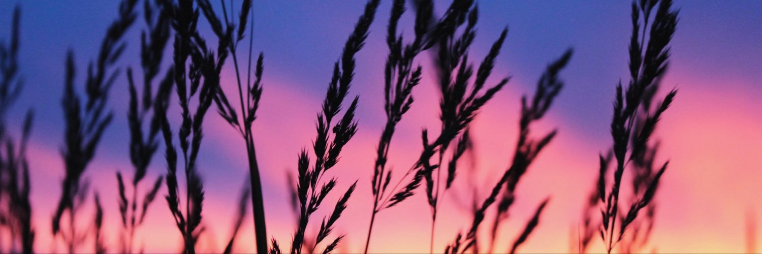 xthroughe's profile banner image