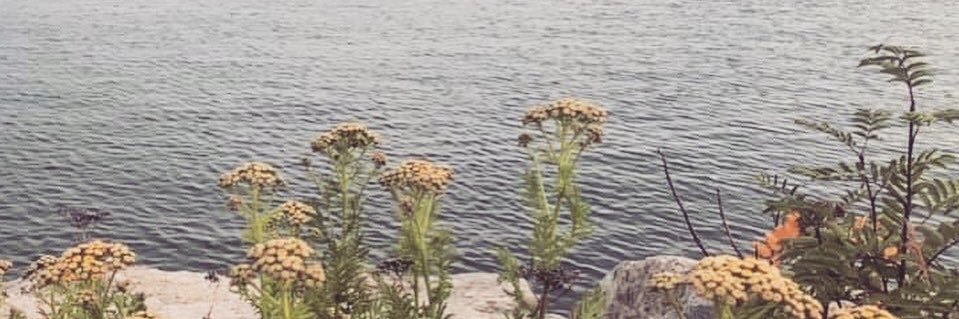 casiemonson's profile banner image