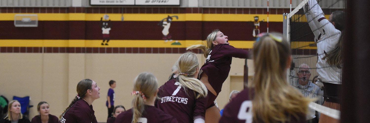 Sauk Centre Herald banner