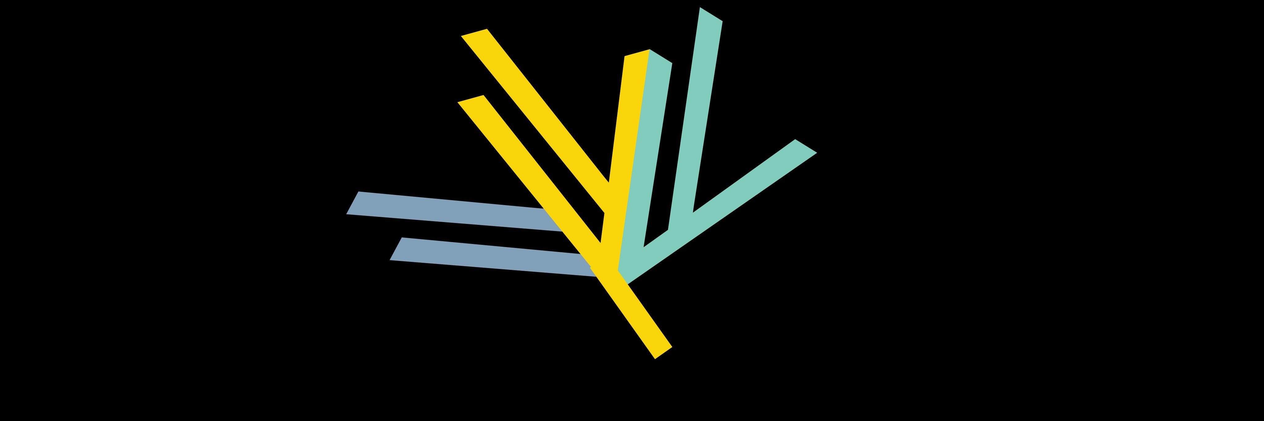 Graves Foundation banner