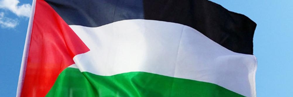 Carmen Tirado🔻 banner