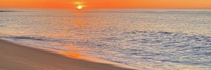 _Triinii15's profile banner image
