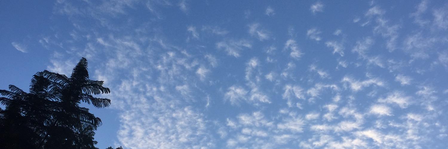 KroAquay's profile banner image