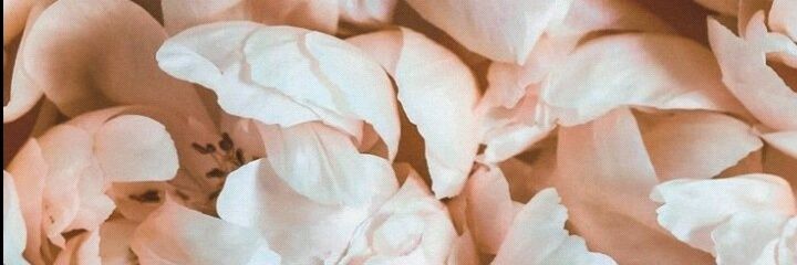 FridaRoo_'s profile banner image