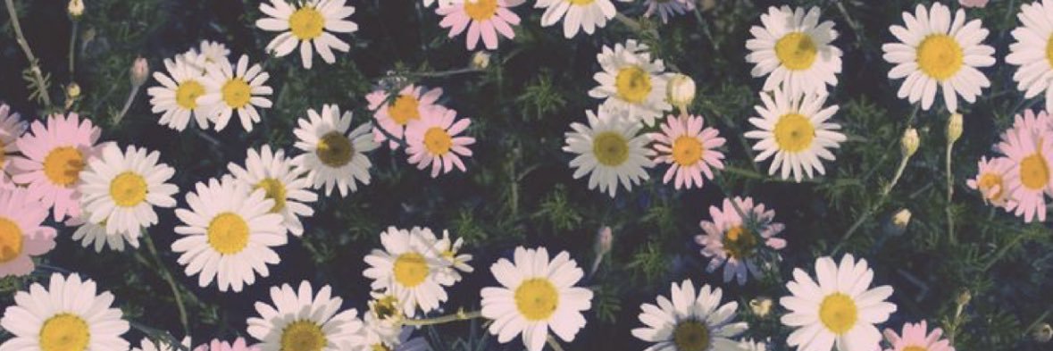 xoaleeee's profile banner image
