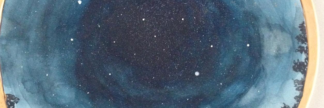Maureen Seaton banner