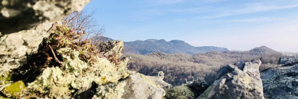 AwarenessBites Profile Banner