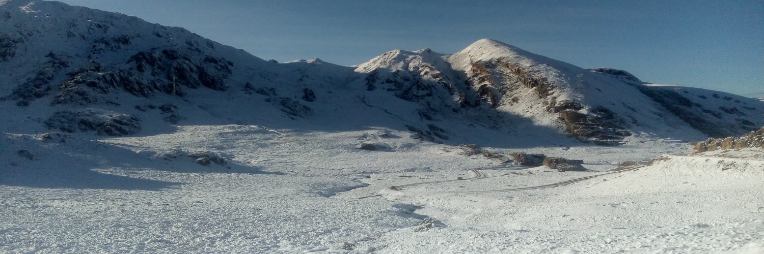 trezorone's profile banner image