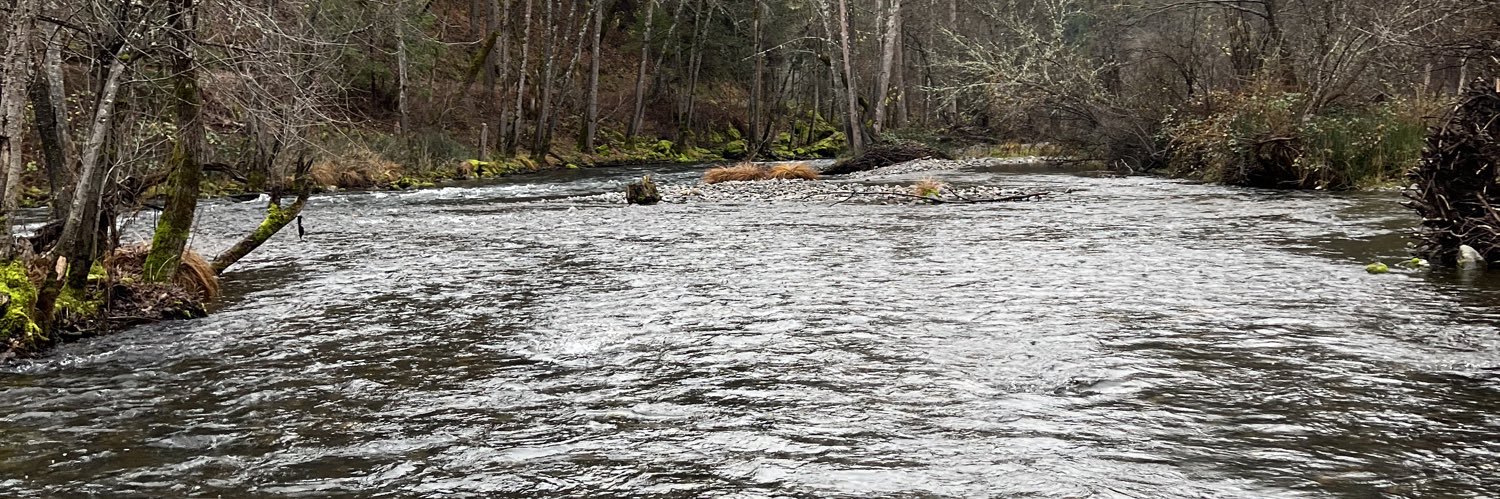 SteelyRivers🛡 banner