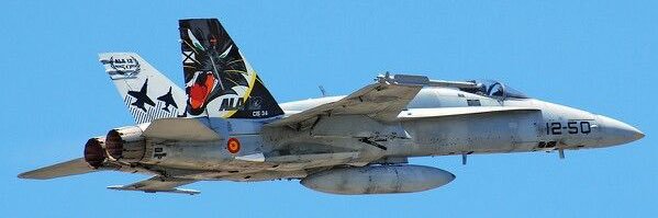 🇪🇸🇪🇸R.J. Fdez🇪🇸🇪🇸👑💛💙#TeamFachosfera banner