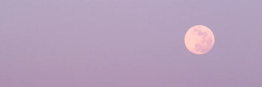 everdelreyy's profile banner image