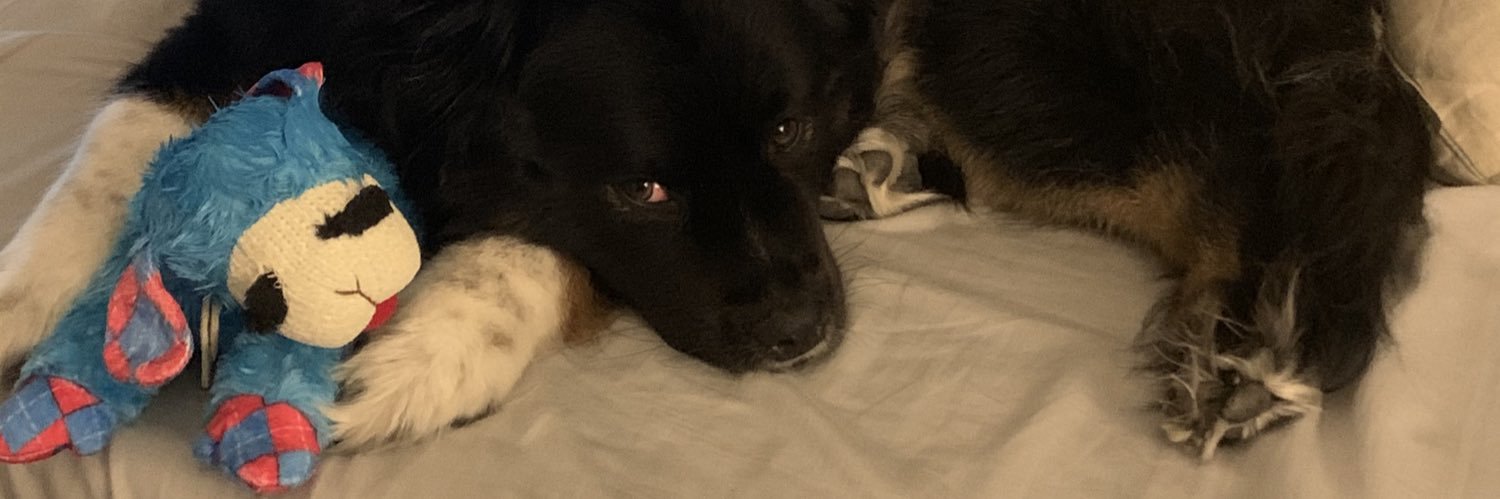 Ginger with sausage finger(s) banner