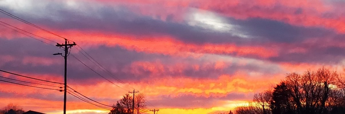 ShelbyVerrette's profile banner image